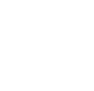 Polaxis | Your Financial North Star